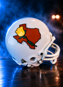 Brown Tyler Rose Mini Helmet