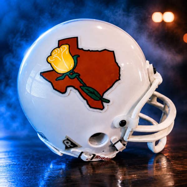Brown Tyler Rose Mini Helmet